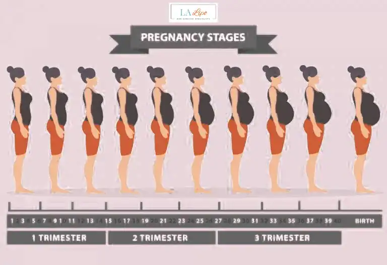First Trimester (Weeks 1–12): Early Changes You Might Not Notice Greater Manchester
